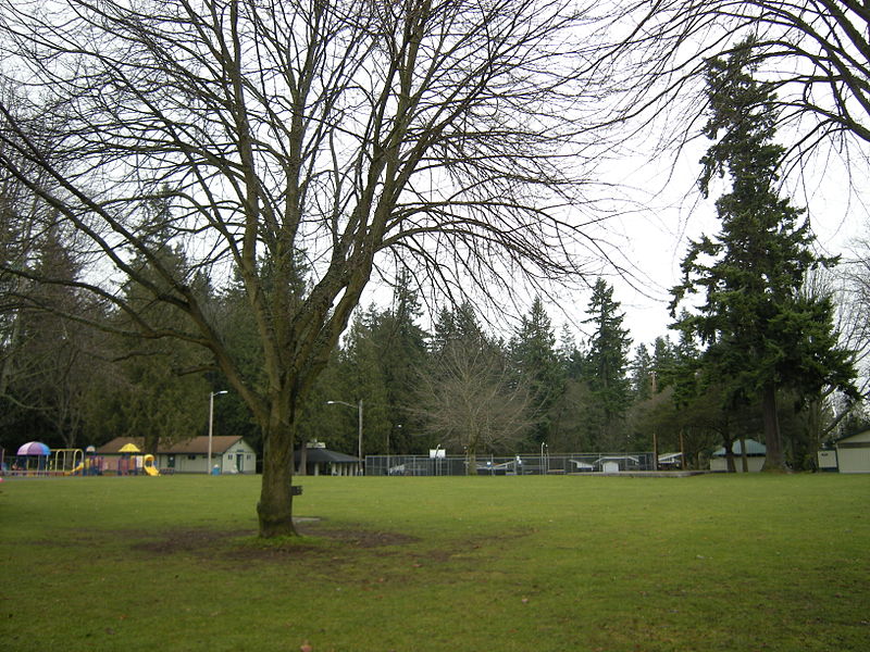 Everett Forest Park Clean Up