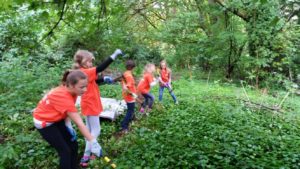 corvus park everett clean up kids