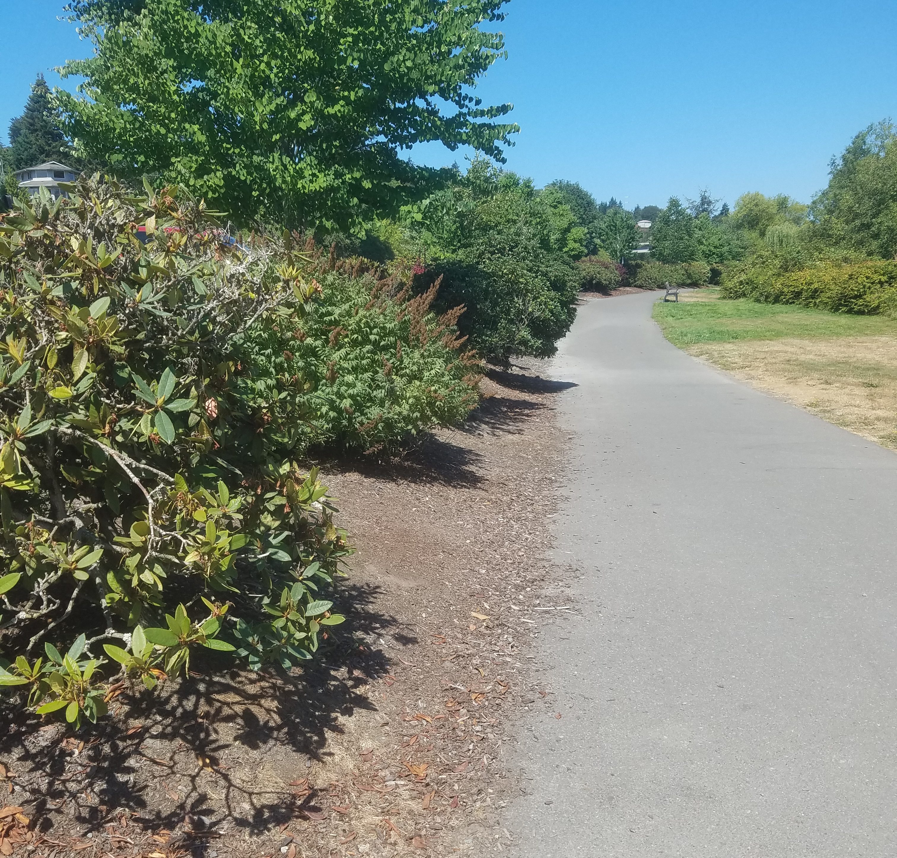 Lowell Rivertrail Before