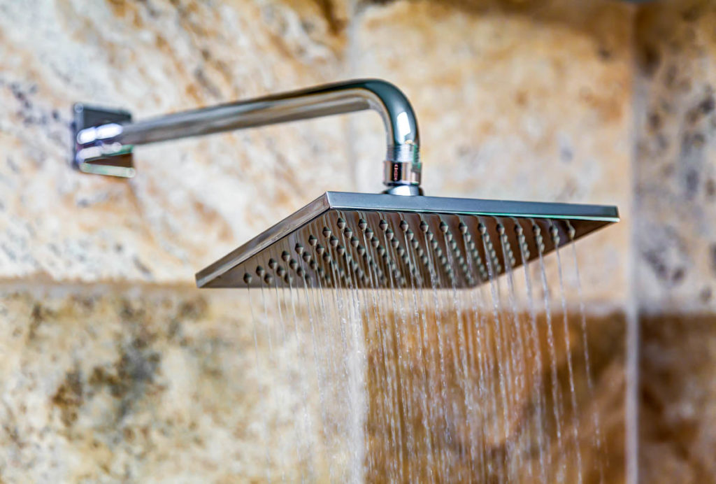 shower heads Snohomish County remodel